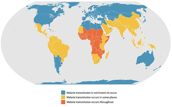 Malaria Endemicity 2020
